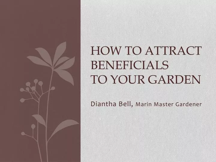 Ppt How To Attract Beneficials To Your Garden Powerpoint