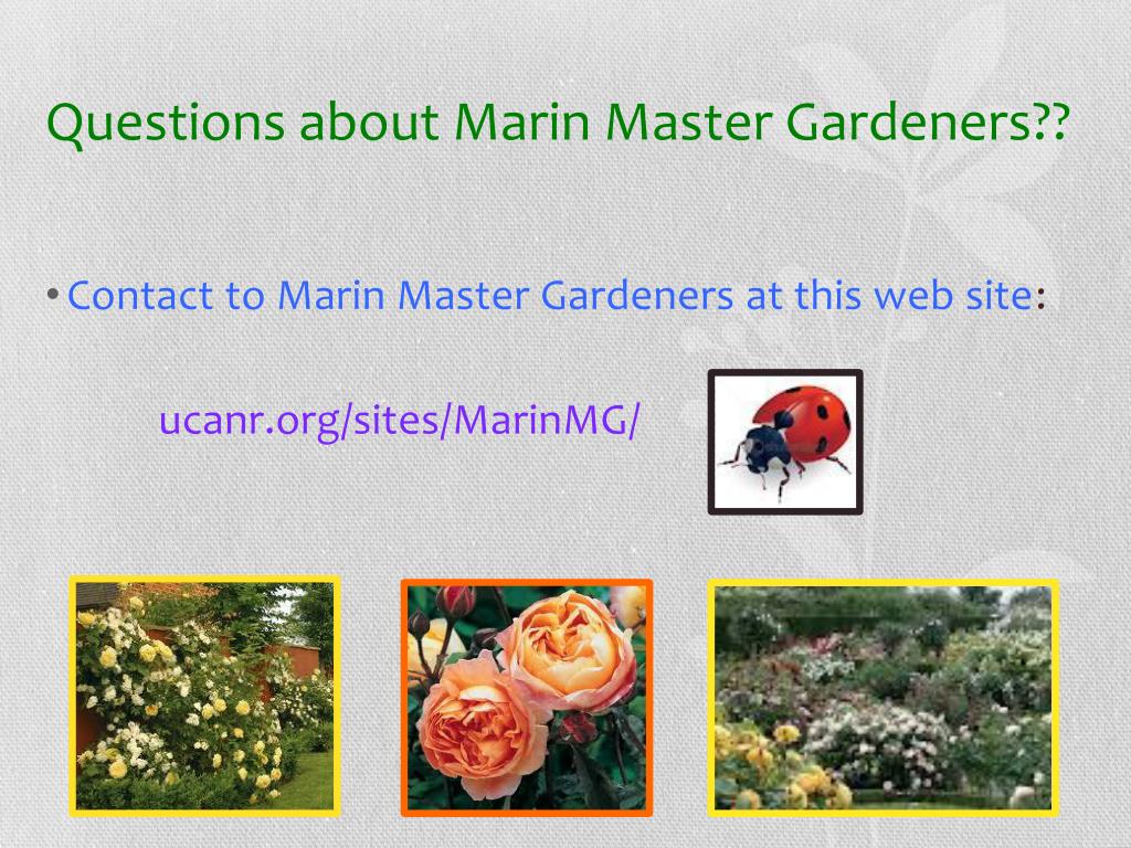 Ppt How To Attract Beneficials To Your Garden Powerpoint