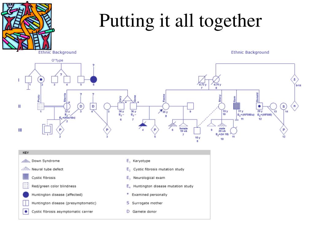 PPT - Genetics for Maternal Child Health Nursing PowerPoint ...