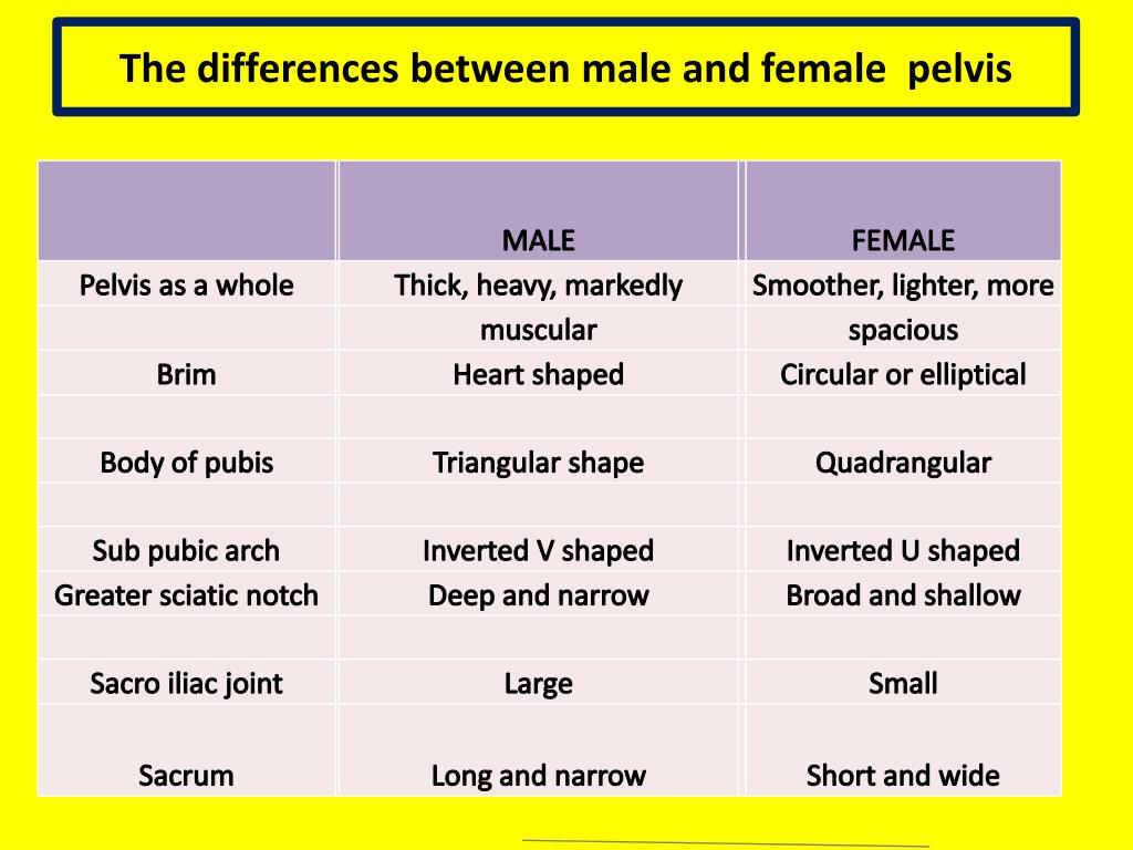 The differences between male and female pelvis.