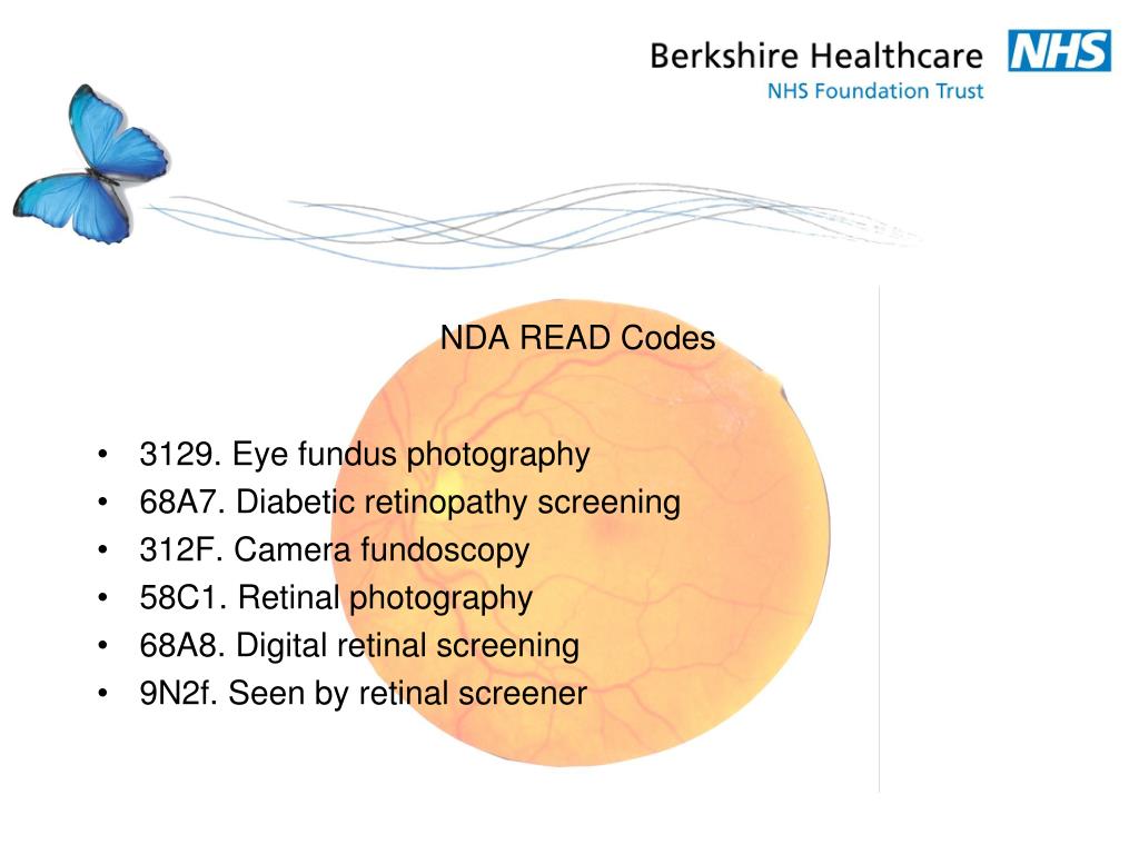 PPT Berkshire Diabetic Eye Screening Service PowerPoint Presentation