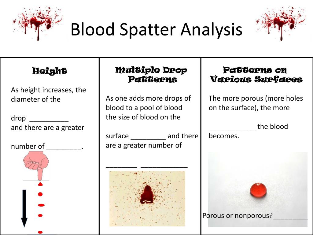 PPT - Unit 2: Physical Evidence Fingerprinting, Ballistics, & Blood