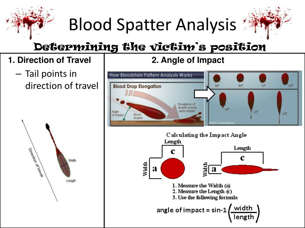 PPT - Unit 2: Physical Evidence Fingerprinting, Ballistics, & Blood