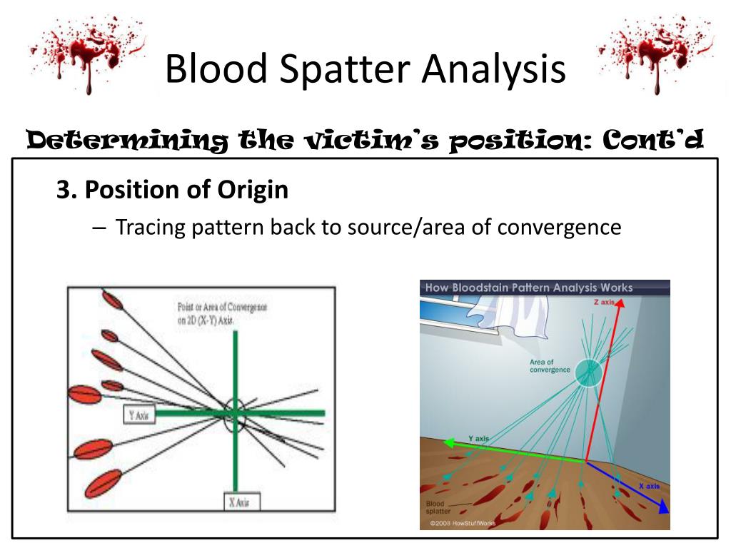 PPT - Unit 2: Physical Evidence Fingerprinting, Ballistics, & Blood