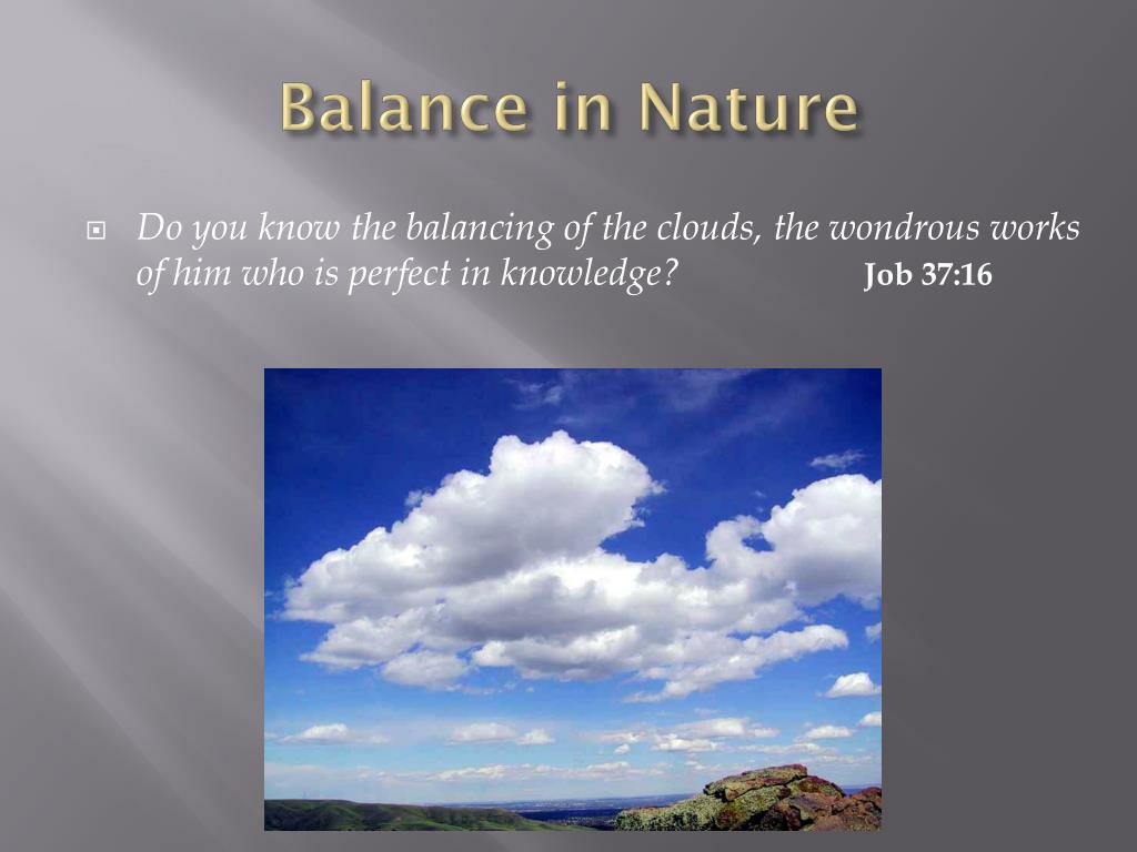 balance-in-nature-l.jpg
