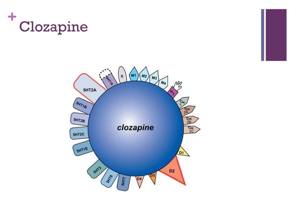 PPT - Schizophrenia PowerPoint Presentation, Free Download - ID:1556559