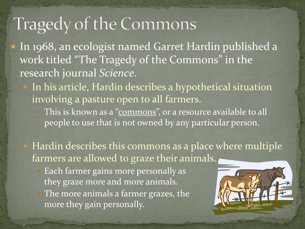 in the essay tragedy of the commons what is referred to as common