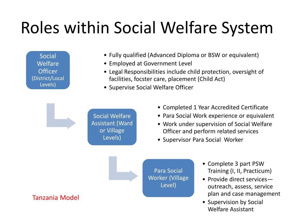 types of social welfare models pdf
