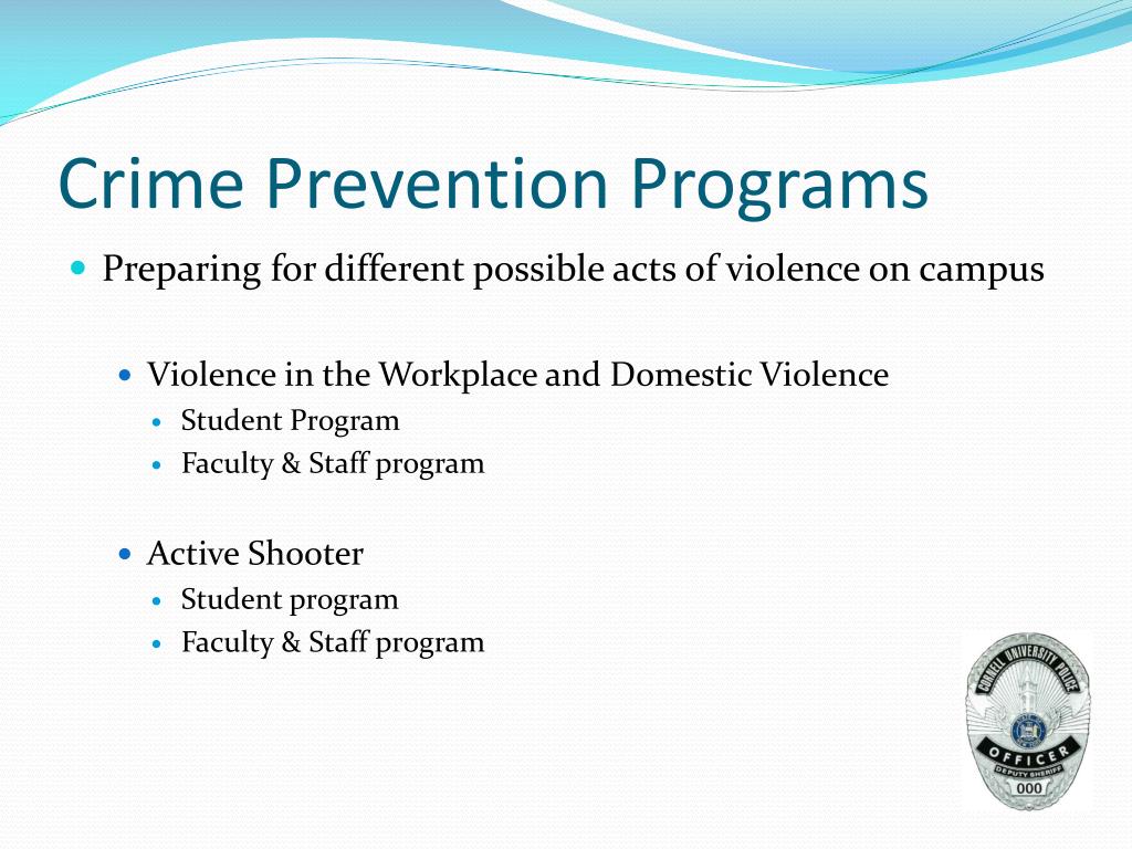 crime prevention in schools and colleges research paper