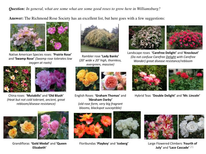 presentation dating williamsburg Search the world's information, including webpages, images, videos and more google has many special features to help you find exactly what you're looking for. presentation dating williamsburg Search the world's information, including webpages, images, videos and more google has many special features to help you find exactly what you're looking for.