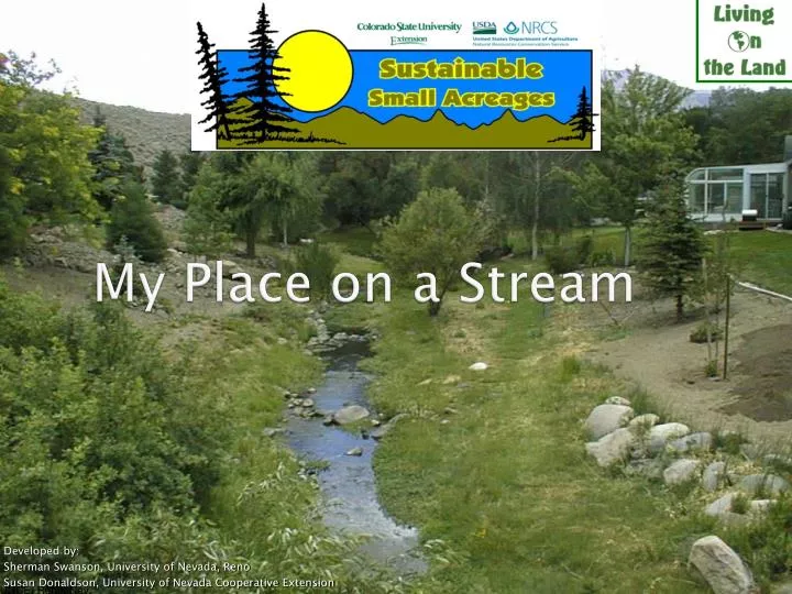 my place on a stream n.