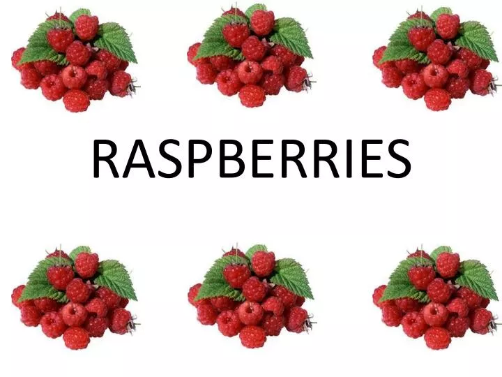 PPT RASPBERRIES PowerPoint Presentation, free download ID1560420