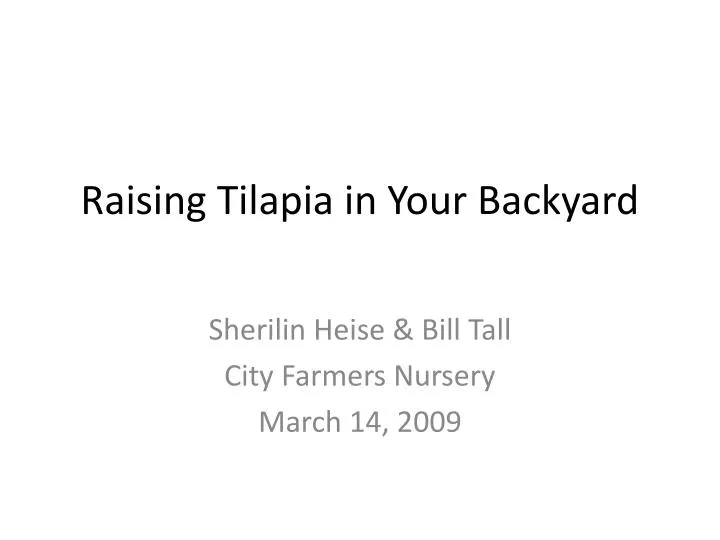 PPT - Raising Tilapia in Your Backyard PowerPoint ...