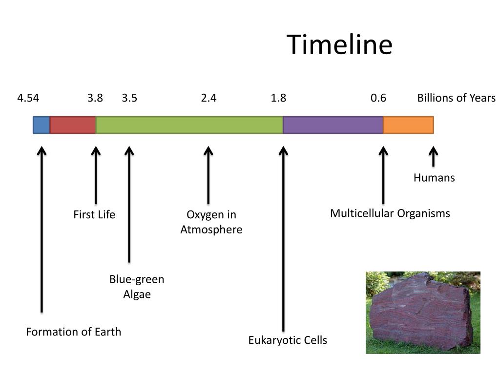 PPT - Introduction to Synthetic Biology PowerPoint Presentation, free