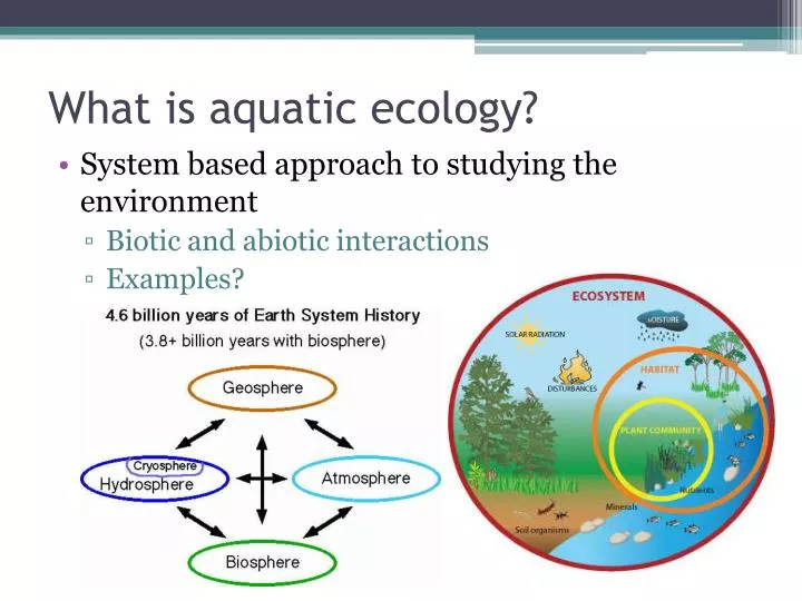 aquatic ecology aquatic ecology