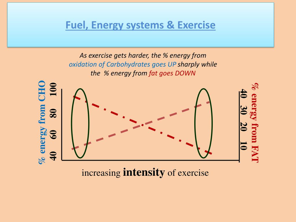 PPT - Energy System responses to acute exercise PowerPoint ...