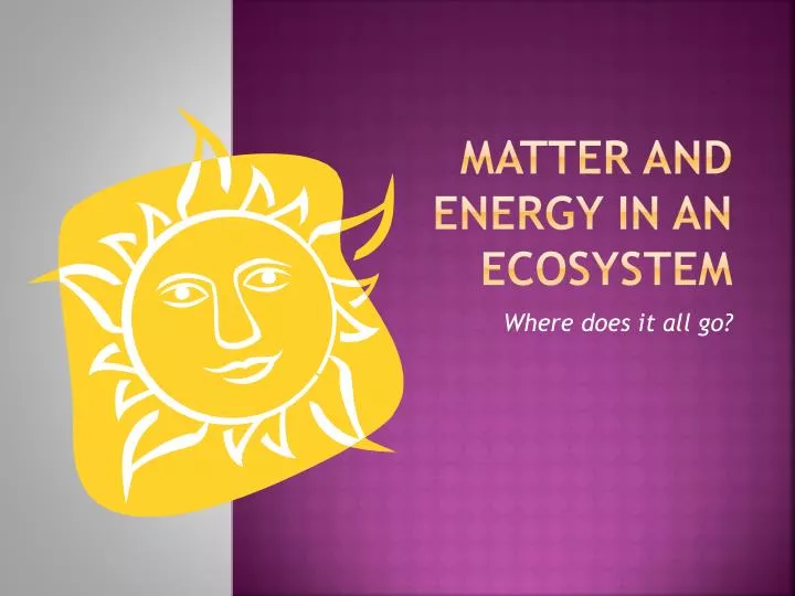 matter and energy in an ecosystem n.