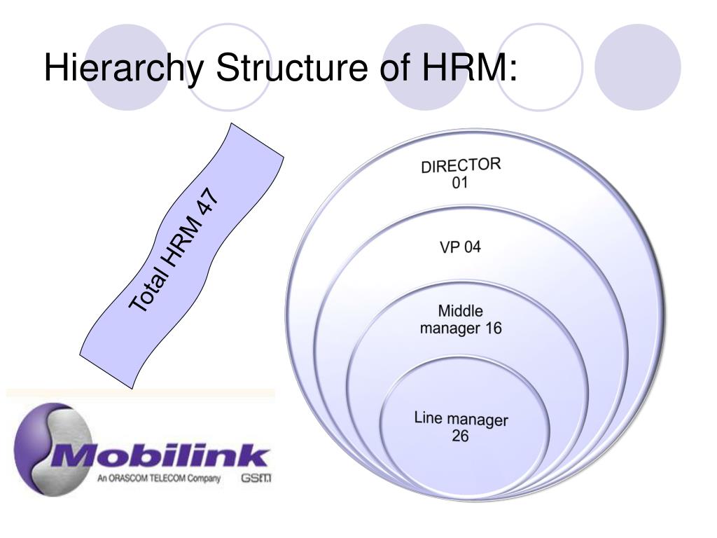 Organizational Hierarchy Chart Of Mobilink