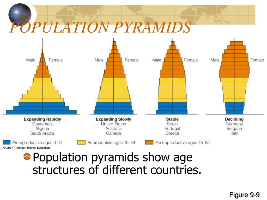 PPT - HUMAN POPULATION DYNAMICS PowerPoint Presentation, free download ...