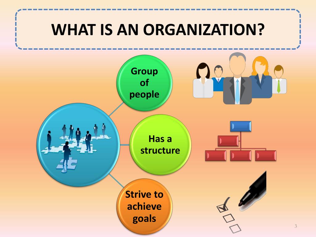 Organization definition