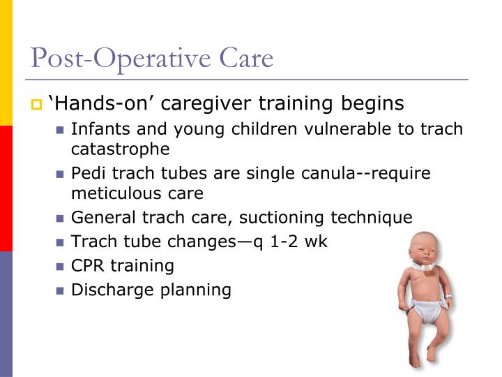care plan post op • wound care • lower limb • remove foley within 2 days post-op hip arthoplasty: post-operative nursing management author: eva created date. care plan post op • wound care • lower limb • remove foley within 2 days post-op hip arthoplasty: post-operative nursing management author: eva created date.