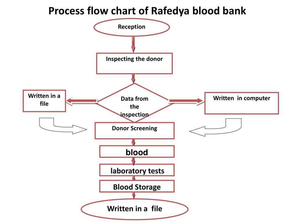 Blood Donation Process Flow Chart Flowchart Examples