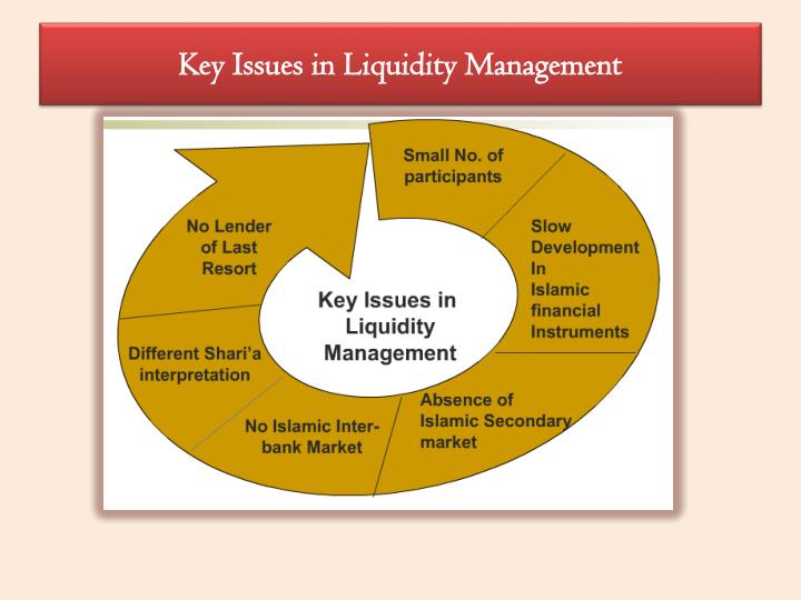 PPT - TREASURY MANAGEMENT AND PRODUCTS PowerPoint Presentation - ID:1567231