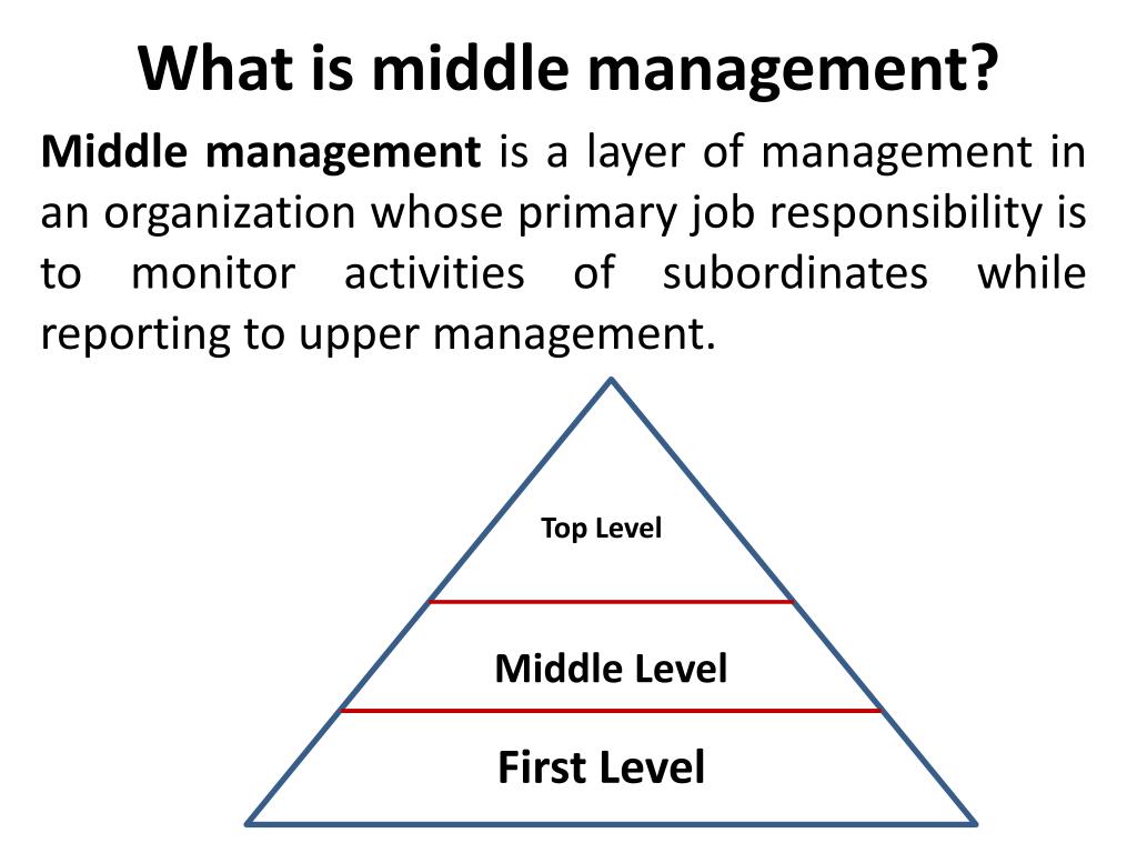 Ppt management leadership leadership in practice powerpoint 
