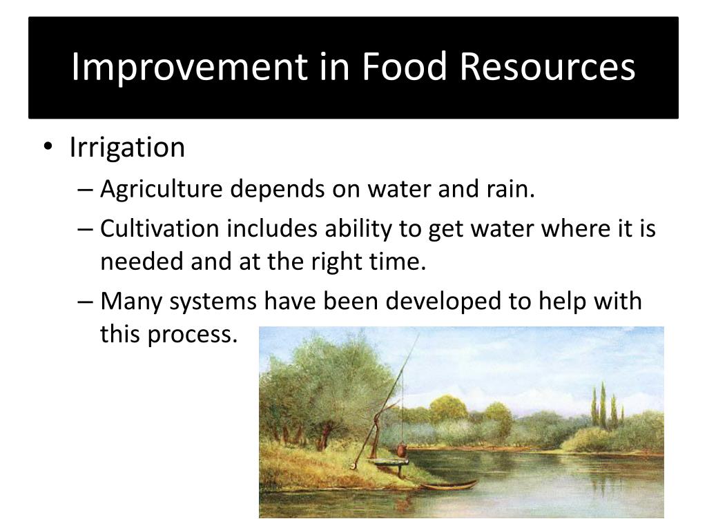 improvement in food resources presentation