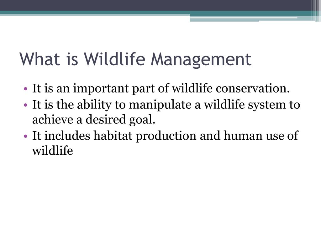 PPT Wildlife Management PowerPoint Presentation Free Download ID 