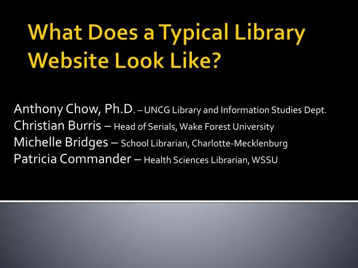what does a typical library website look like n.
