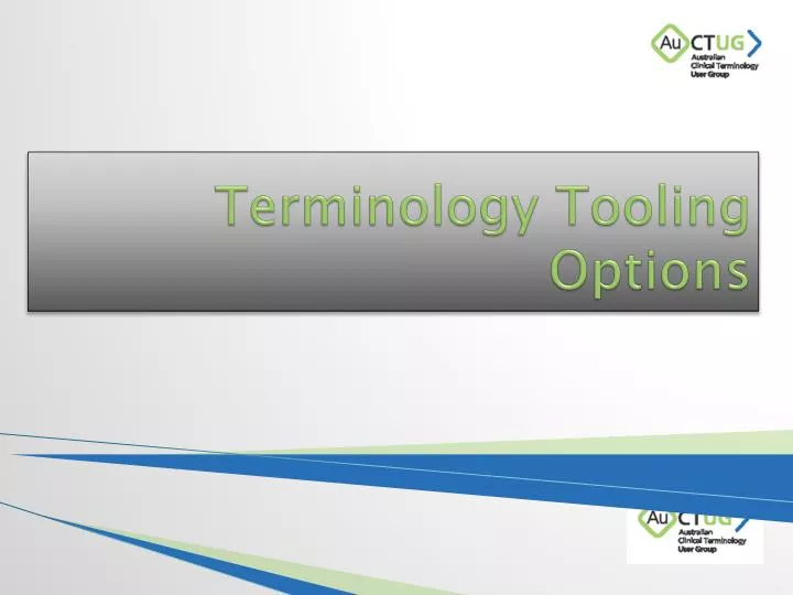 PPT - Terminology Tooling Options PowerPoint Presentation, free ...