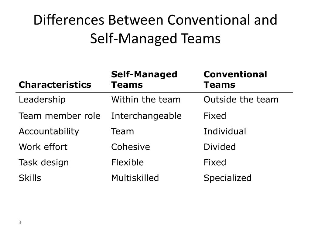 what is a self managed work team