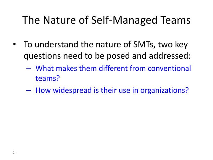 self managed teams