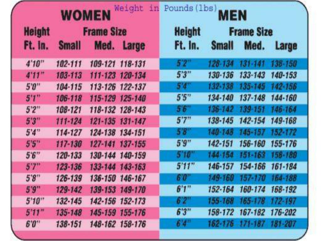 Bmi And Frame Size Chart