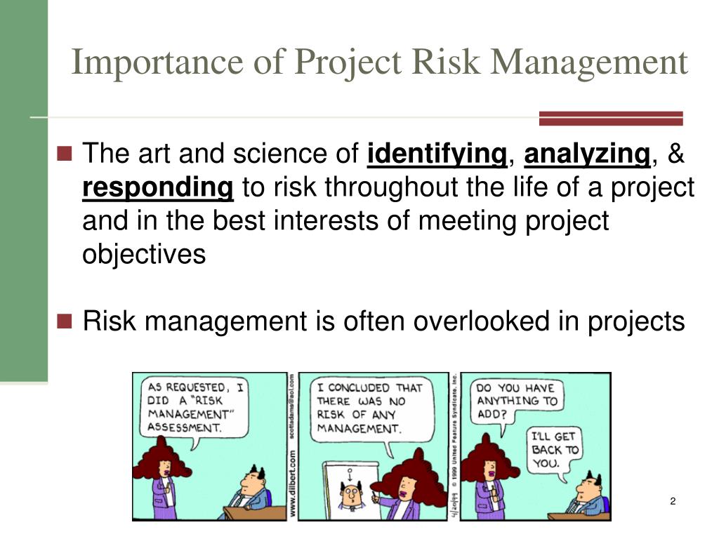 risk management importance essay