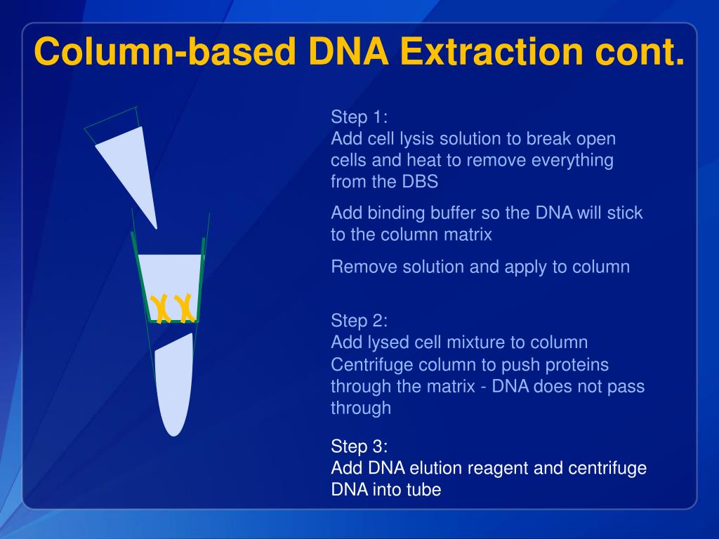 PPT - DBS DNA Extraction, Validation & Quantitation PowerPoint ...