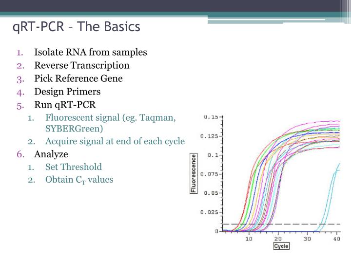 Ppt Real Time Quantitative Reverse Transcription Polymerase Chain