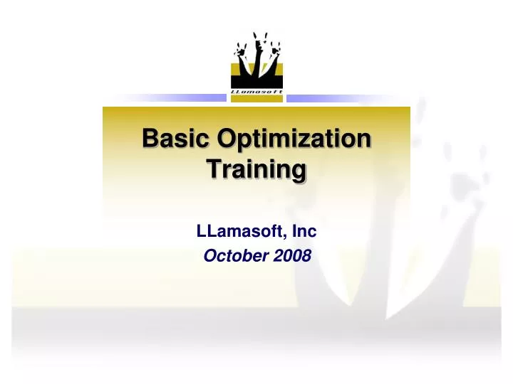 basic optimization training n.