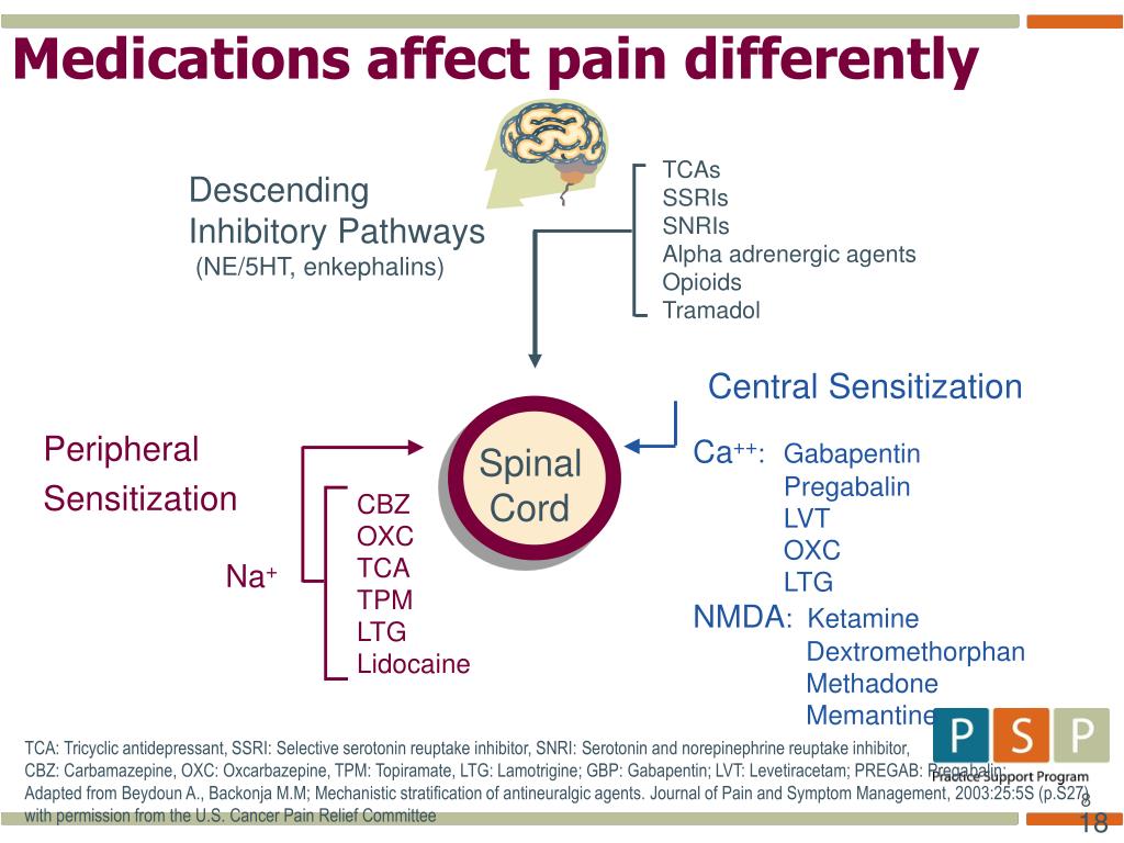 PPT - Pharmacotherapy for Chronic Pain PowerPoint Presentation, free