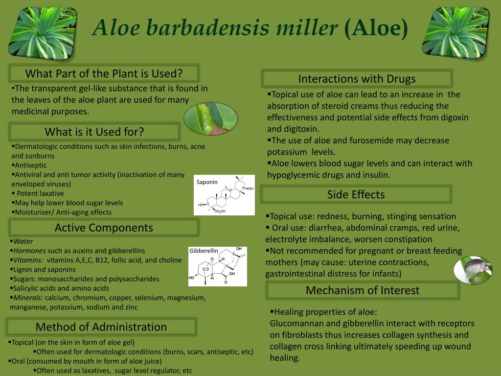 PPT - Aloe barbadensis miller (Aloe) PowerPoint Presentation, free ...