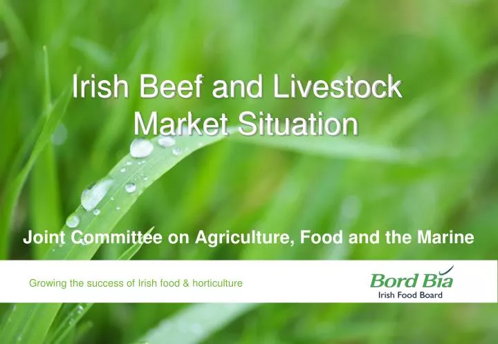 irish beef and livestock market situation n.