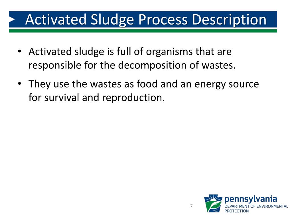 what is the purposes of the activated sludge tank what is the purposes of the activated sludge tank