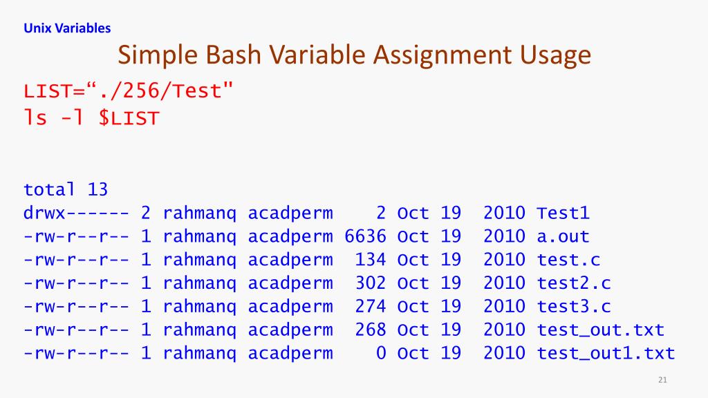 variable assignment unix