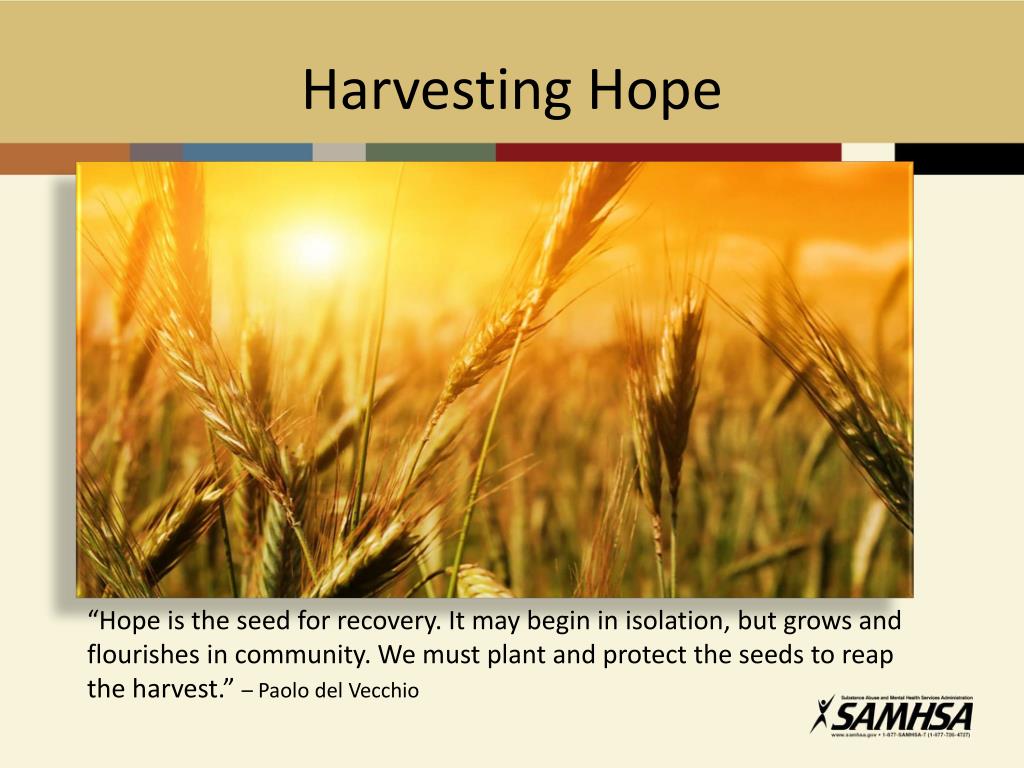 PPT - Seasons of Change: Mental Health Past, Present , and Future ...
