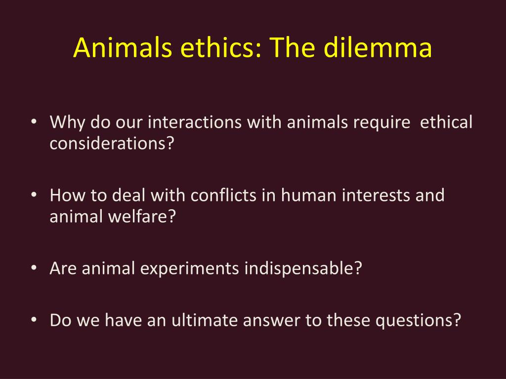PPT - Ethical issues related to animal experiments PowerPoint Presentation - ID:1584875 PPT - Ethical issues related to animal experiments PowerPoint Presentation - ID:1584875