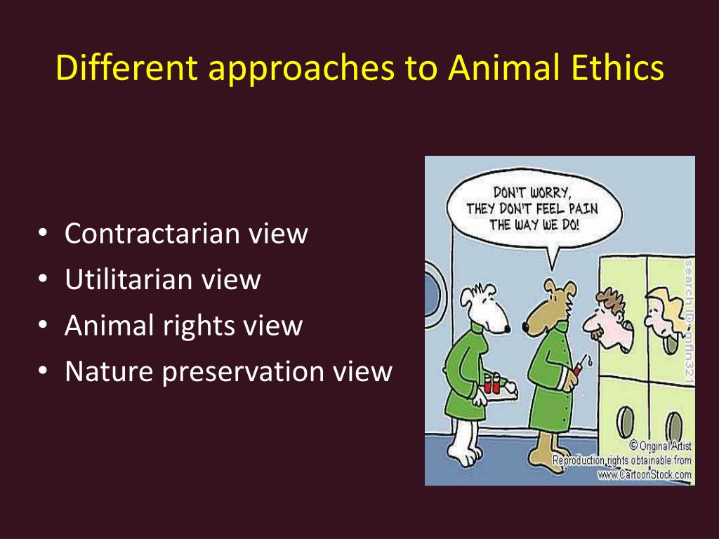 PPT - Ethical issues related to animal experiments PowerPoint Presentation  - ID:1584875