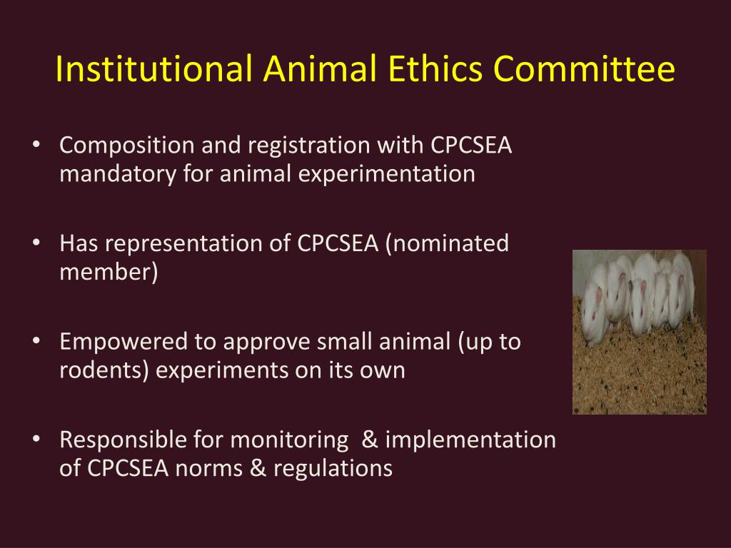 PPT - Ethical issues related to animal experiments PowerPoint Presentation  - ID:1584875