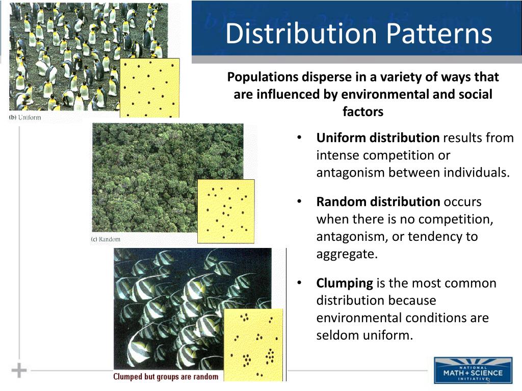 PPT Ecology Population Ecology PowerPoint Presentation, free download