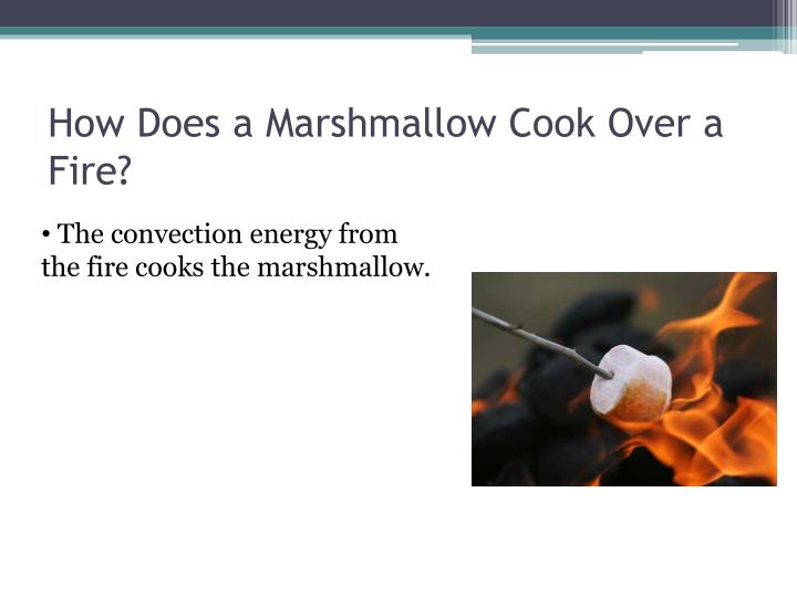 PPT Roasting Marshmallow Heat Transfer PowerPoint Presentation ID
